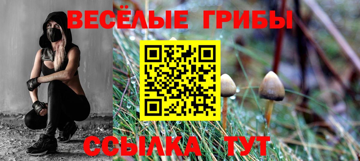 Псилоцибиновые грибы GOLDEN TEACHER  Псилоцибиновые грибы мухоморы  Вход с VPN  Шадринск 